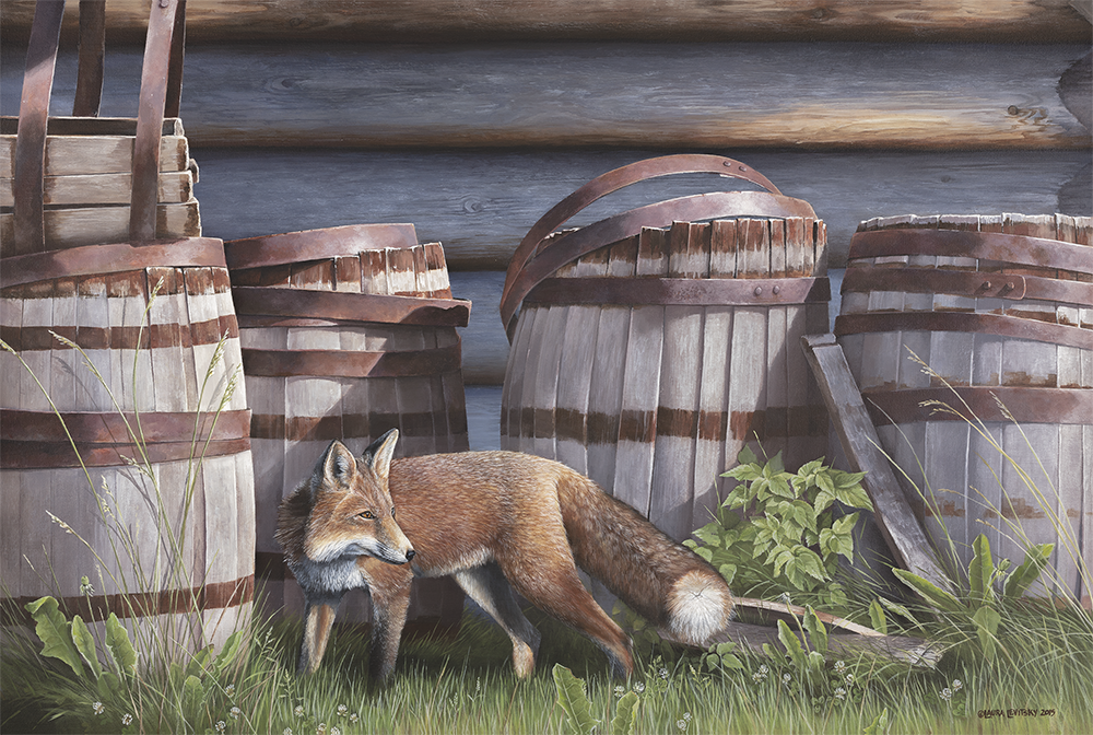Barkerville Fox