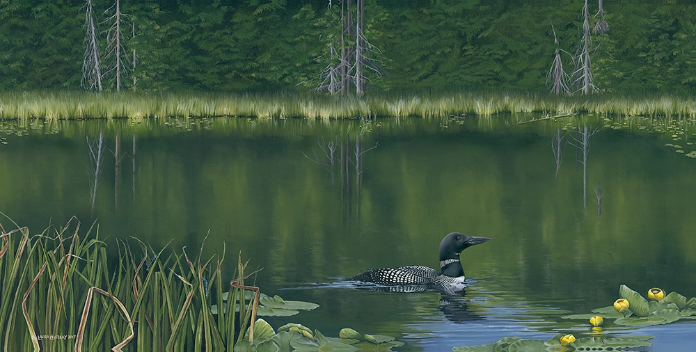 Lonesome Loon