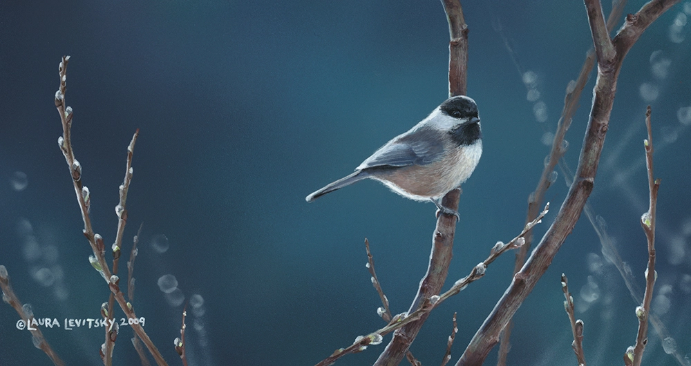 Whisper in the Willows