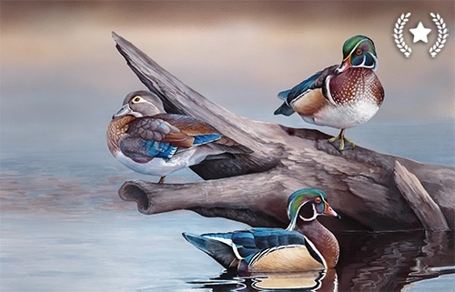 Wood Ducks