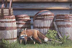 barkervillefox