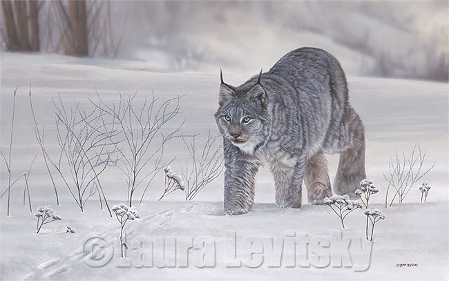 lynx