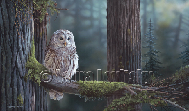 barredowl
