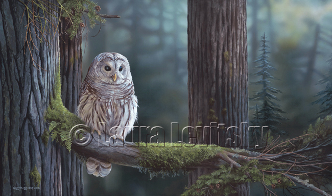 barredowl